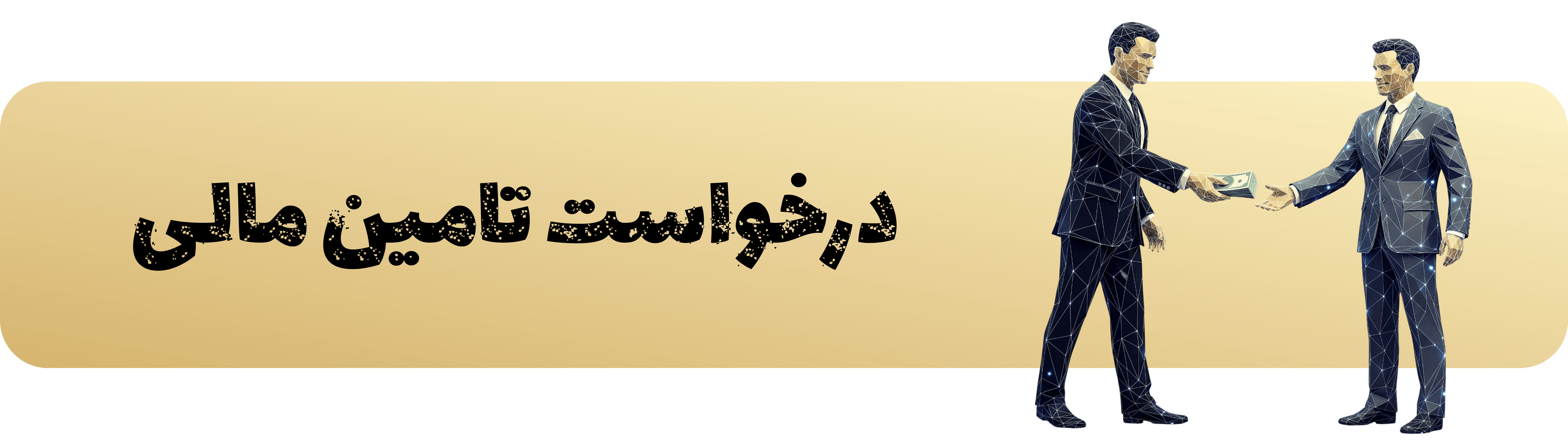 درخواست تامین مالی